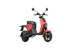 Segway B110S Elektrische scooter