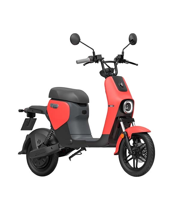 Segway B110S Elektrische scooter