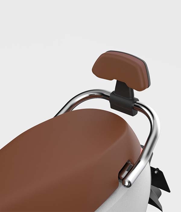Segway E110S rugsteun zwart met bruin kussen