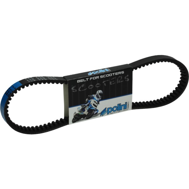 V snaar Zoomer Polini