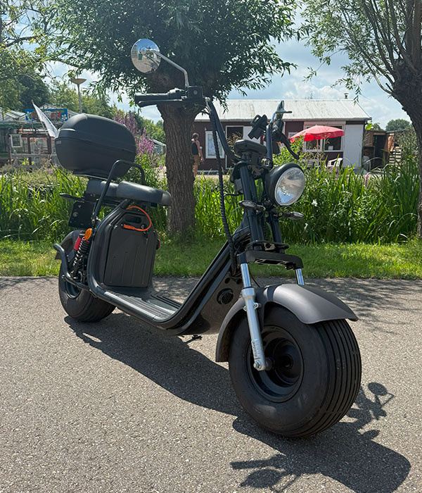 Feddie Elektrisch 45KM/U 28AH 2024