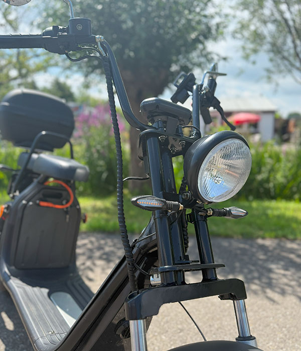 Feddie Elektrisch 45KM/U 28AH 2024