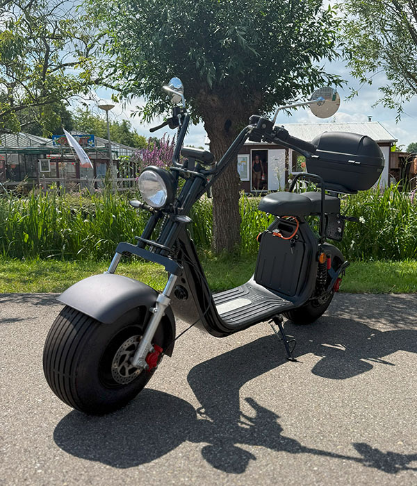 Feddie Elektrisch 45KM/U 28AH 2024