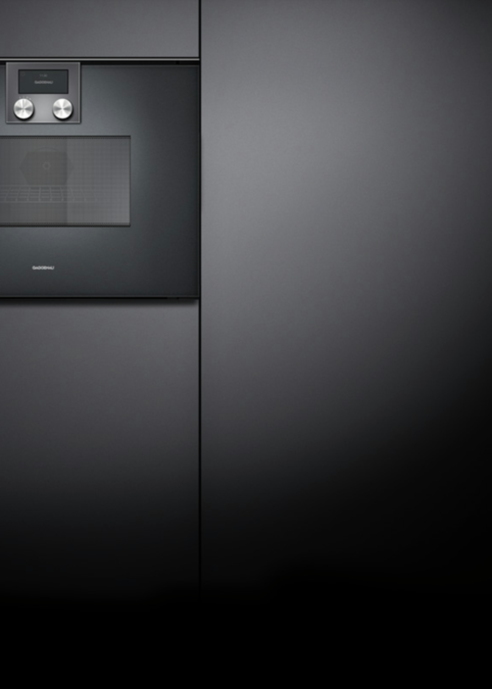 Gaggenau BMP250100 combi magnetron