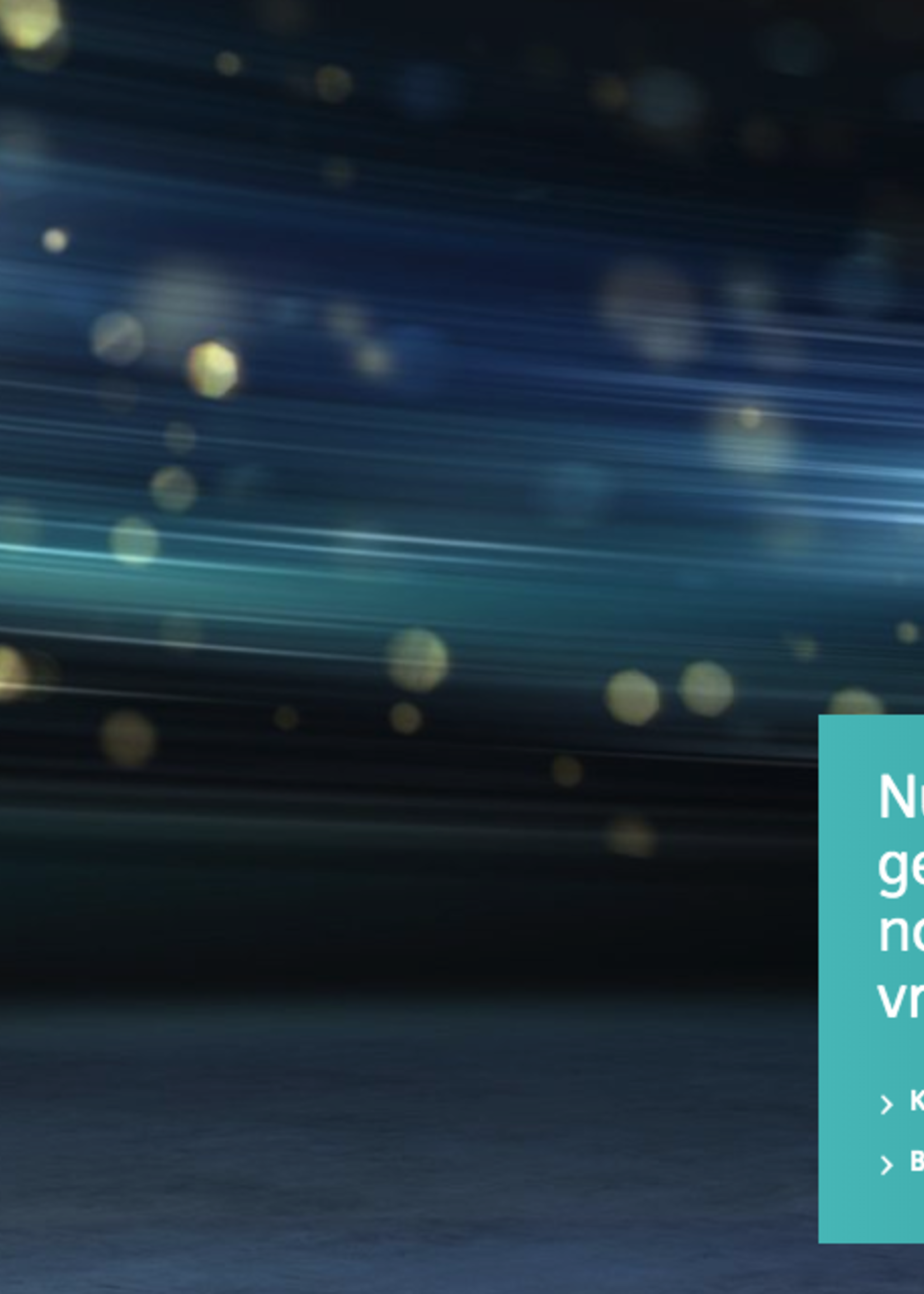 Siemens GS33NVW3P vrijstaande vrieskast