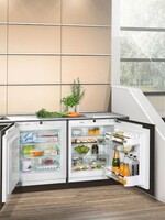 Gaggenau RF200202 Onderbouw vrieskast