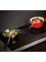 Senza Nome HIKA 874180 kookplaat met afzuiging