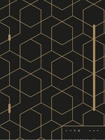 Makus Inductiekookplaat Honeycomb - 60 cm