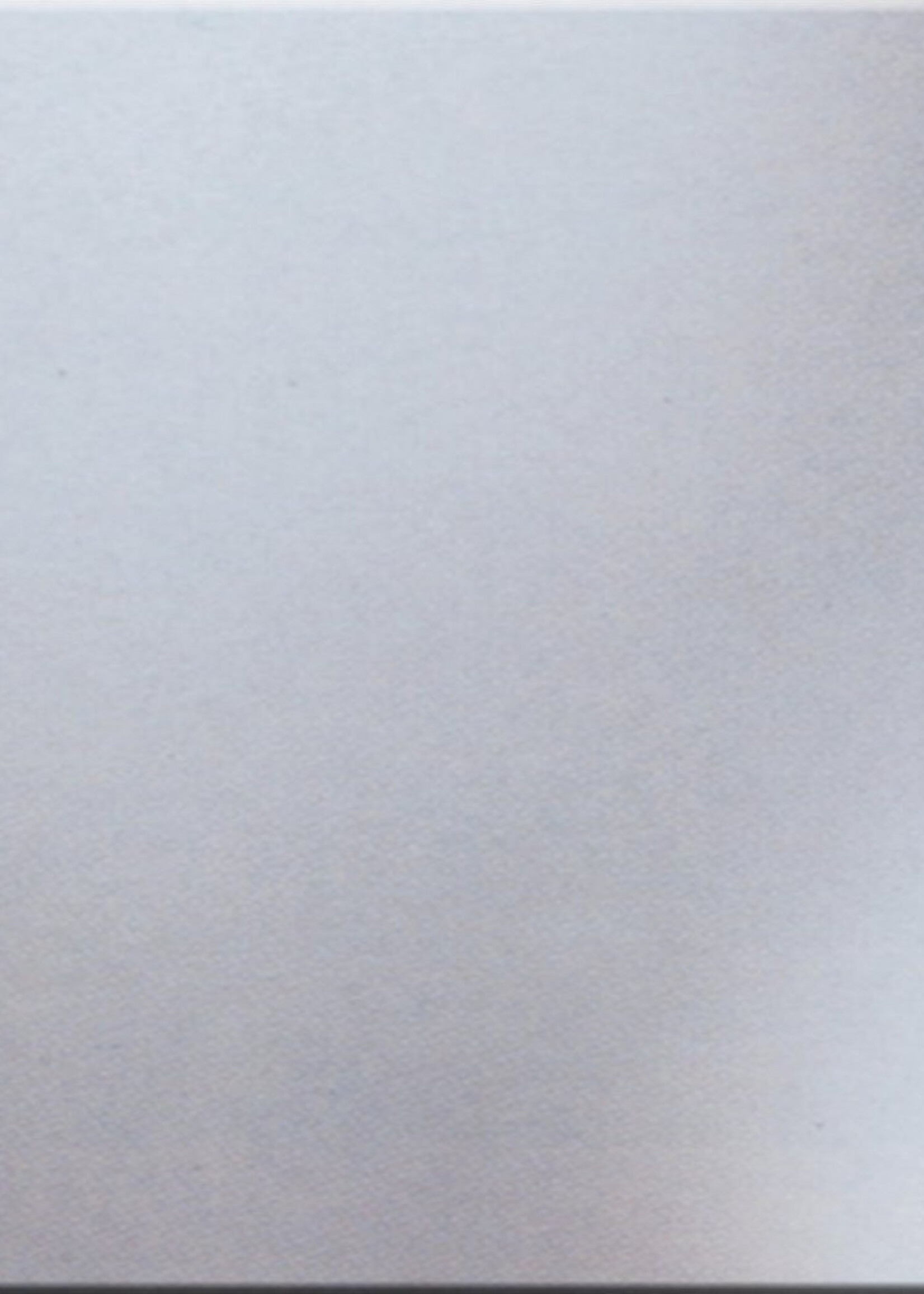 Boretti AWH90 Hoog achterwand RVS 90 cm