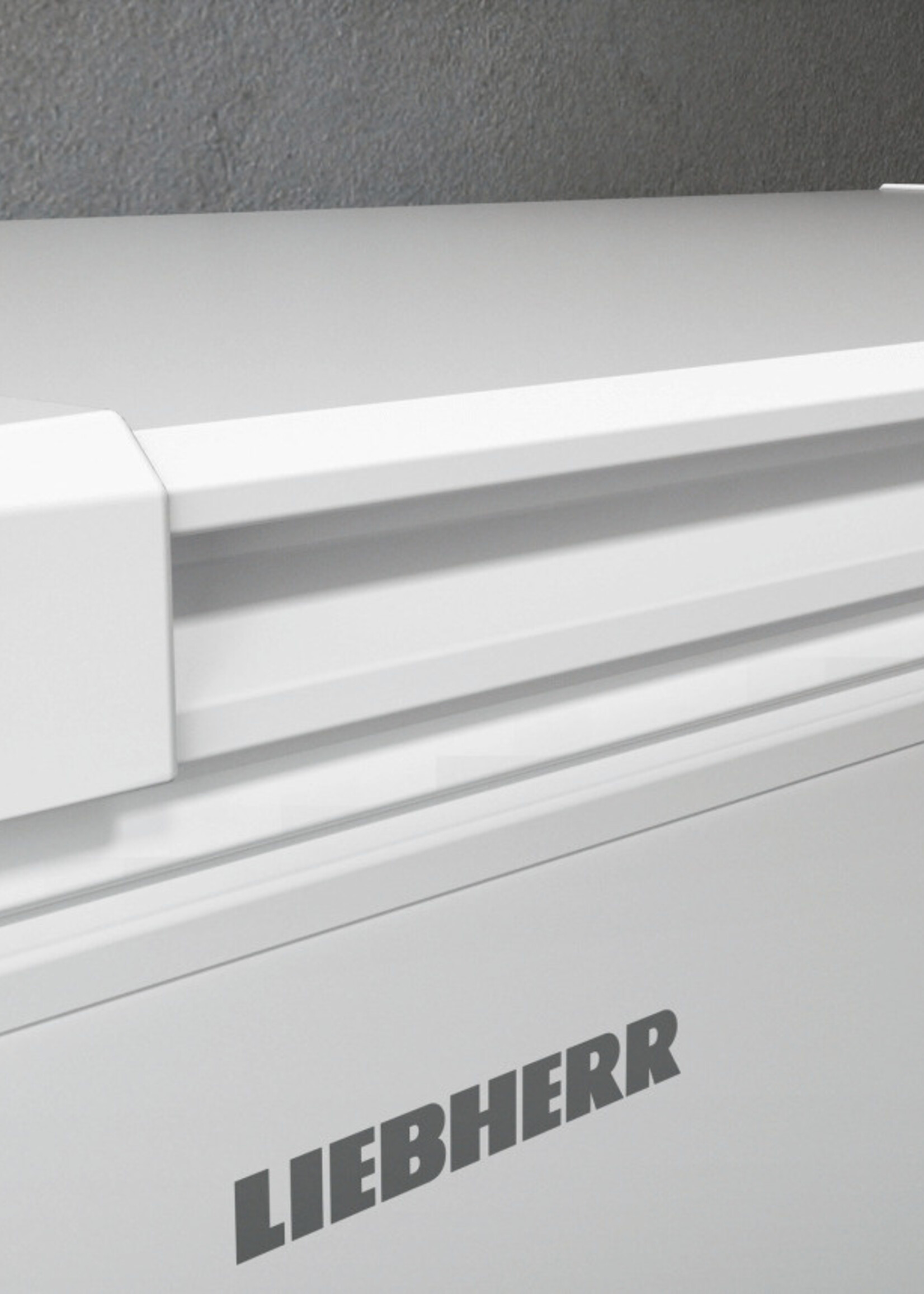 Liebherr CFd 2505-20 Vrieskist