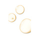 SkinCeuticals SkinCeuticals Phloretin CF - 30ml SkinCeuticals SkinCeuticals Phloretin CF - 30ml