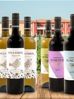Dominio de Punctum Taste box