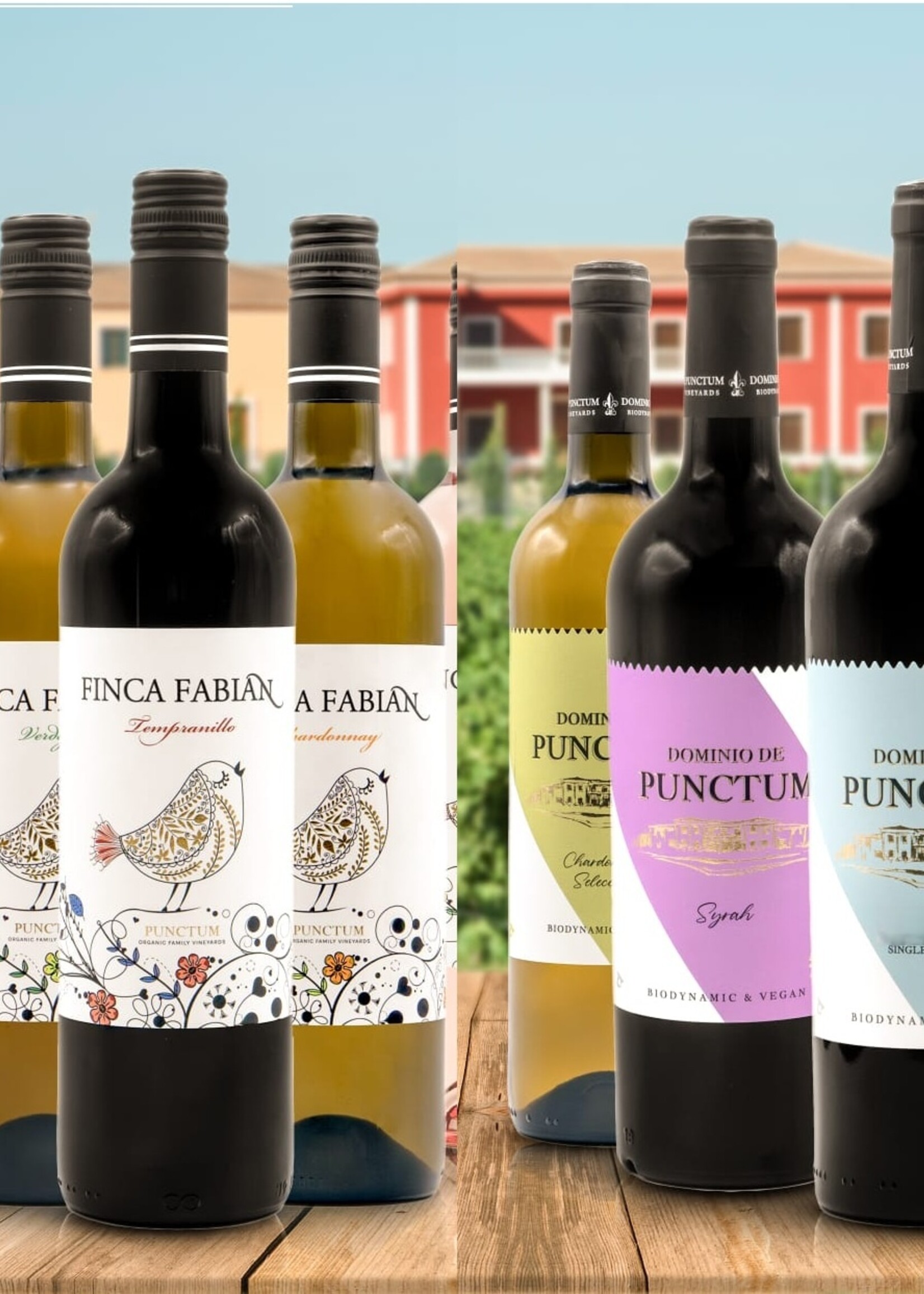 Dominio de Punctum Taste box