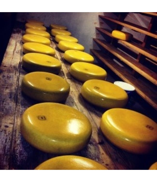 Rotteveel Farmers cheese matured 8 months