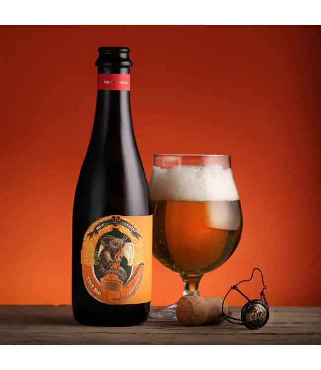 Brauhaus Bevog - TRI 2024