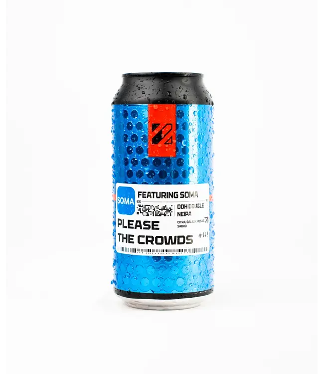 Prizm Brewing - Please the crowds