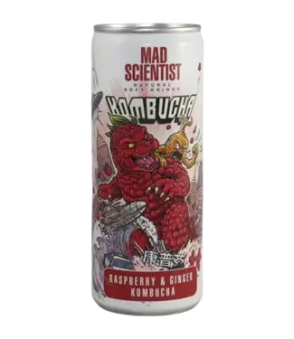 Mad Scientist Natural Soft Drinks - Raspberry & Ginger Kombucha