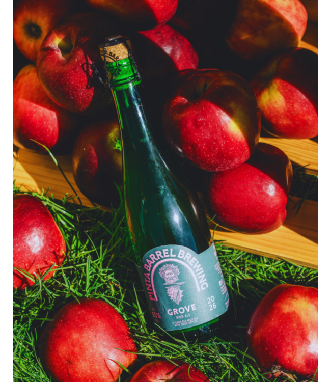 Pinta Barrel Brewing - Grove - fles 375ml.