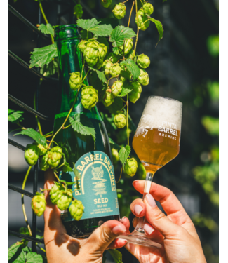 Pinta Barrel Brewing - Seed 2026