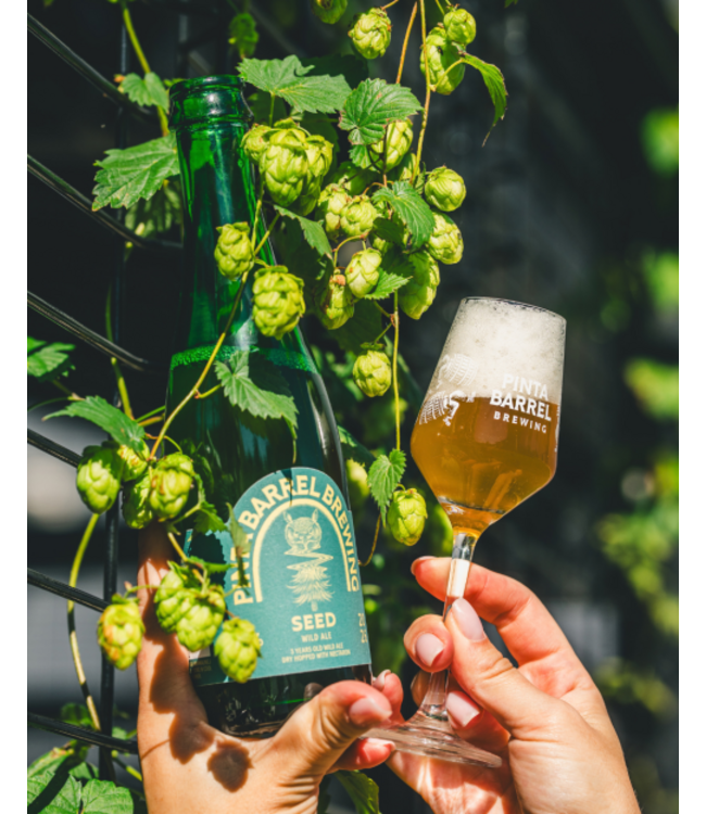 Pinta Barrel Brewing - Seed 2026 - bottle 375ml.