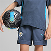 Puma Manchester City Trainingsbroekje 2024-2025 Kids Grijs Lichtblauw