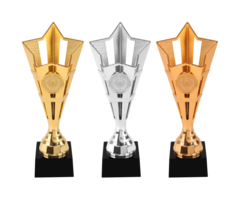 Sportprijs - Beker - Goud - Zilver - Brons - AK5131