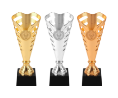 Sportprijs - Beker - Goud - Zilver - Brons - AR1075