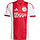 Ajax Amsterdam 25/26 Thuisshirt Senior