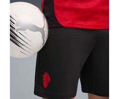 Puma AC Milan trainingshort - 2025/2026 - 782370-04