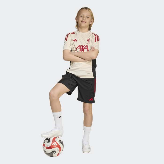 Adidas Liverpool FC training short junior - 2025/2026 - JV6556