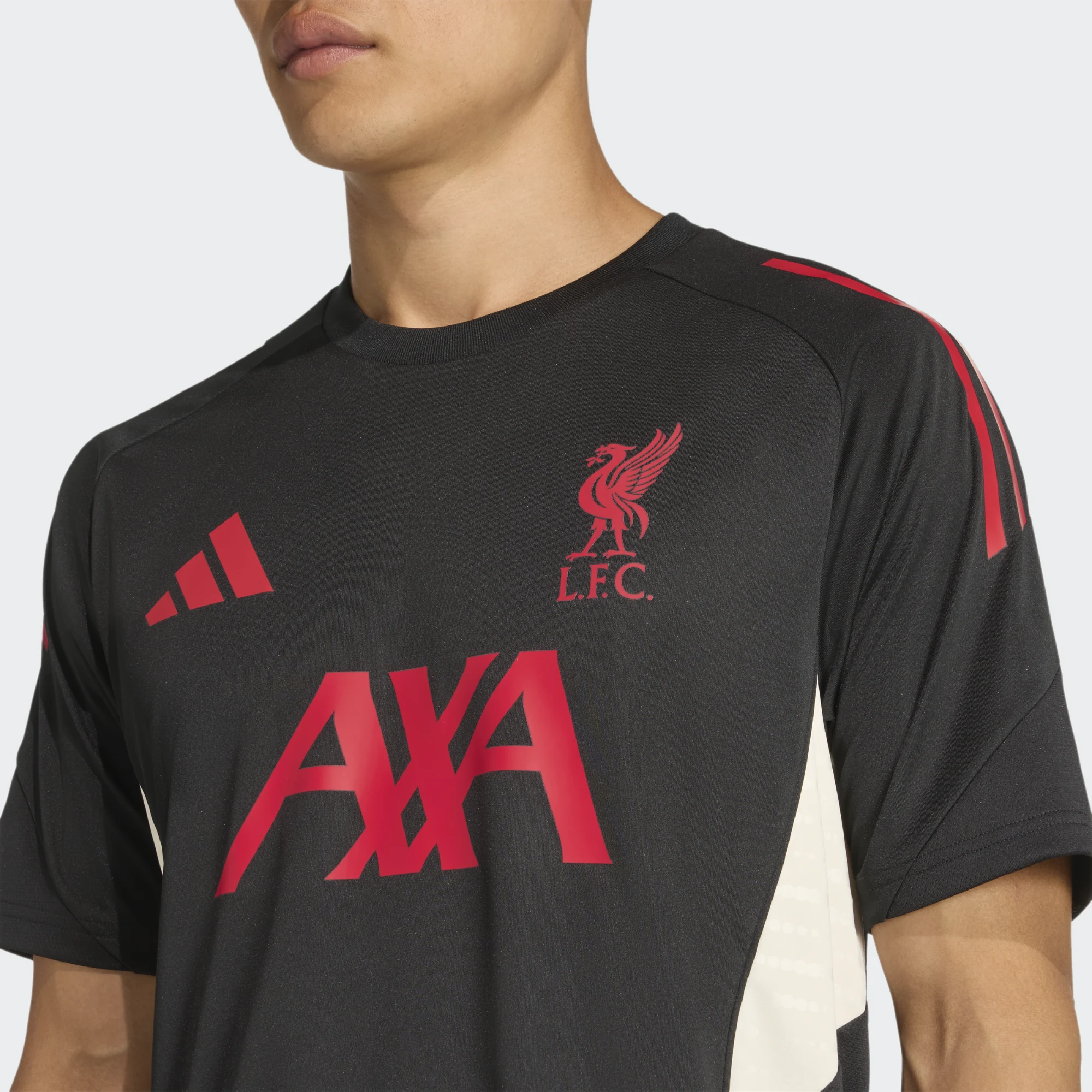 Adidas Liverpool FC training shirt senior - 2025/2026 - JV6573