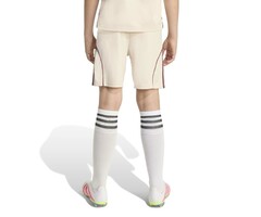 Adidas Ajax Derde Short 2025/2026 Junior - Ji9574