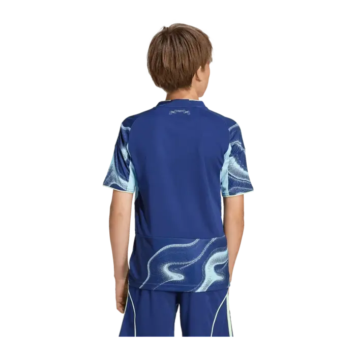 Adidas Ajax Uitshirt - 2025/2026 - JI7218