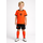 Nederlands elftal little kids tenue 2026-2028 - IB4558-809