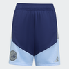 Adidas Ajax Amsterdam training short Junior 2026-2027