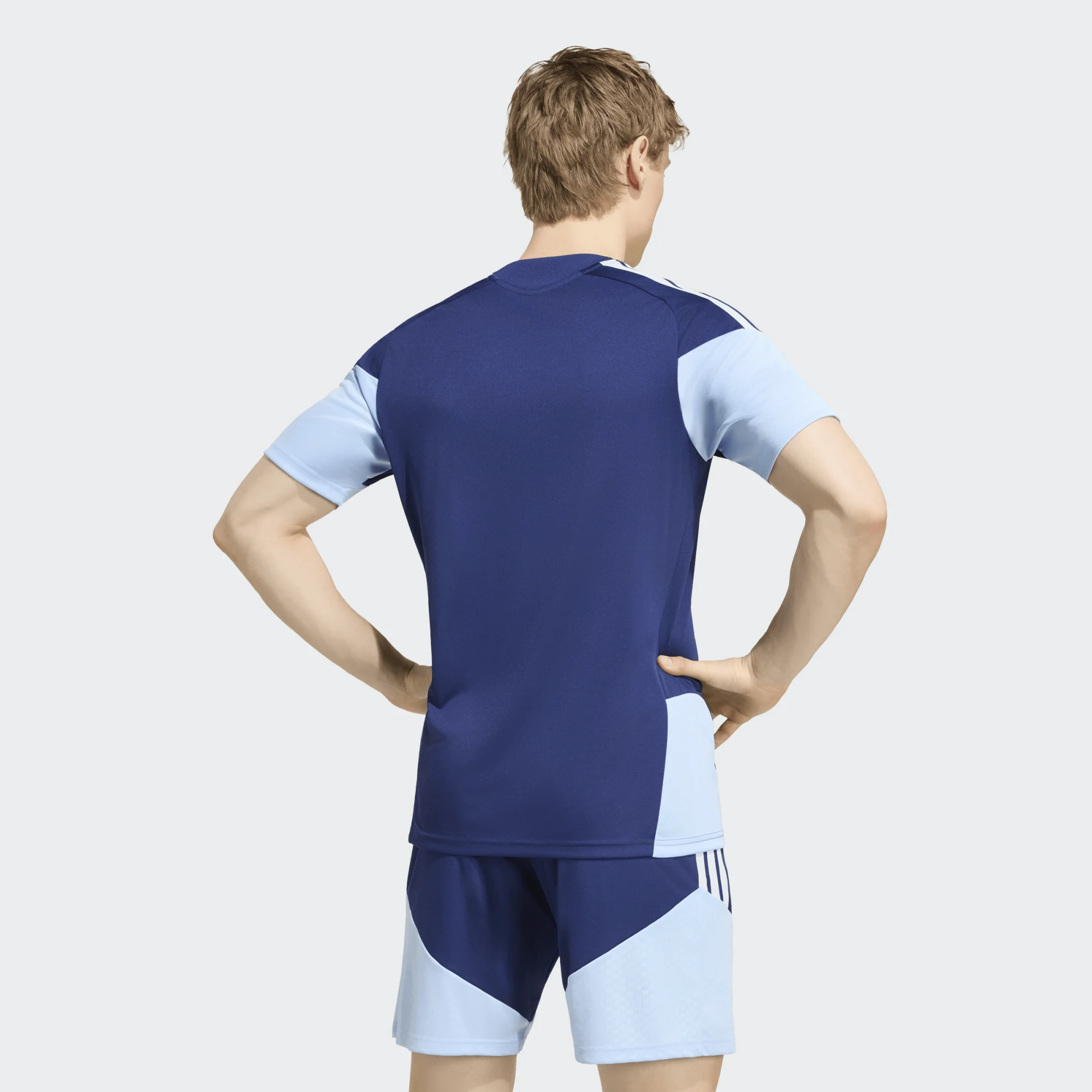 Adidas Ajax Amsterdam training shirt Senior 2026-2027
