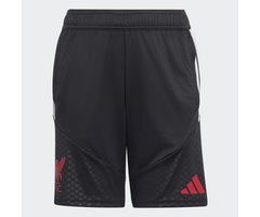 Adidas Liverpool FC training short junior - KB5756