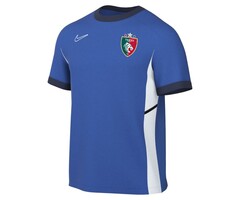Nike Academy 25 Training shirt SR Inclusief Tigers Roermond logo - FZ9754-463