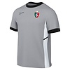 Nike Academy 25 Training shirt SR Inclusief Tigers Roermond logo - FZ9754-012