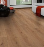 Kronotex laminaat 6mm plank 3125 Nature Oak