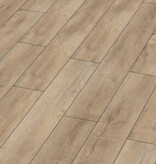 Kronotex laminaat 8mm plank 4982 Oriental Oak Beige