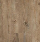 Ekofloors PVC click plank BC503 Raw Pine Olympus