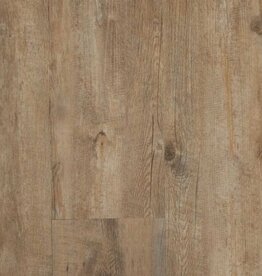 Ekofloors PVC click plank BC503 Raw Pine Olympus