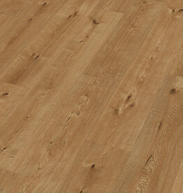 Meister LD55 Hill Oak 7153