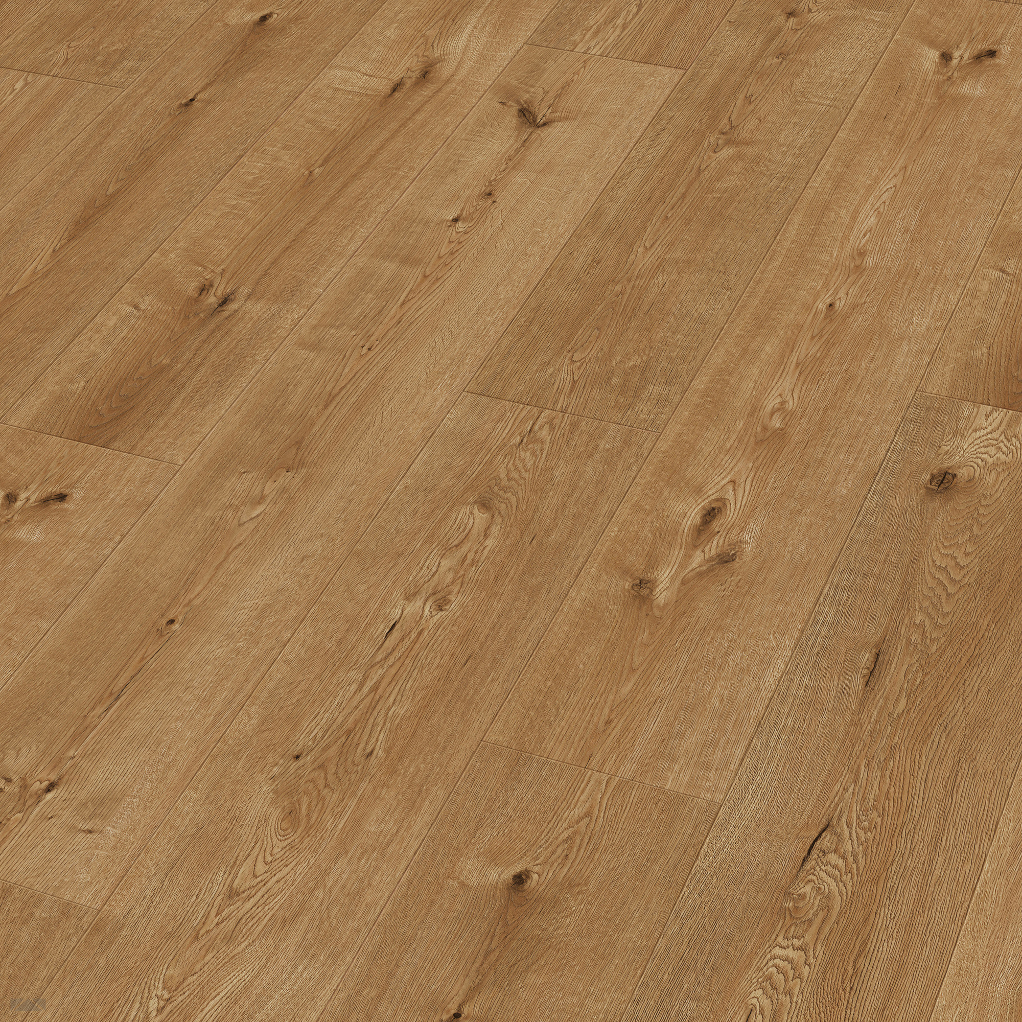 Meister LD55 Hill Oak 7153