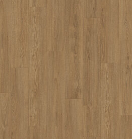Douwes Dekker  Extra lange plank Olijf