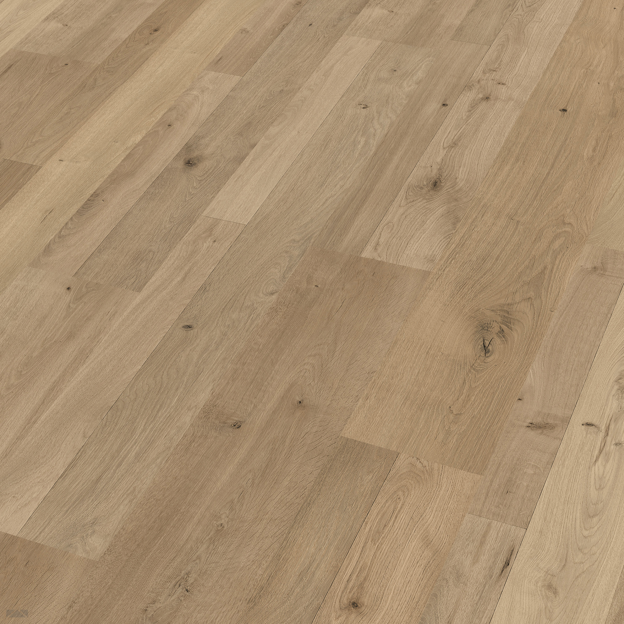 Meister LC55 Multiclic Natural oak 06675
