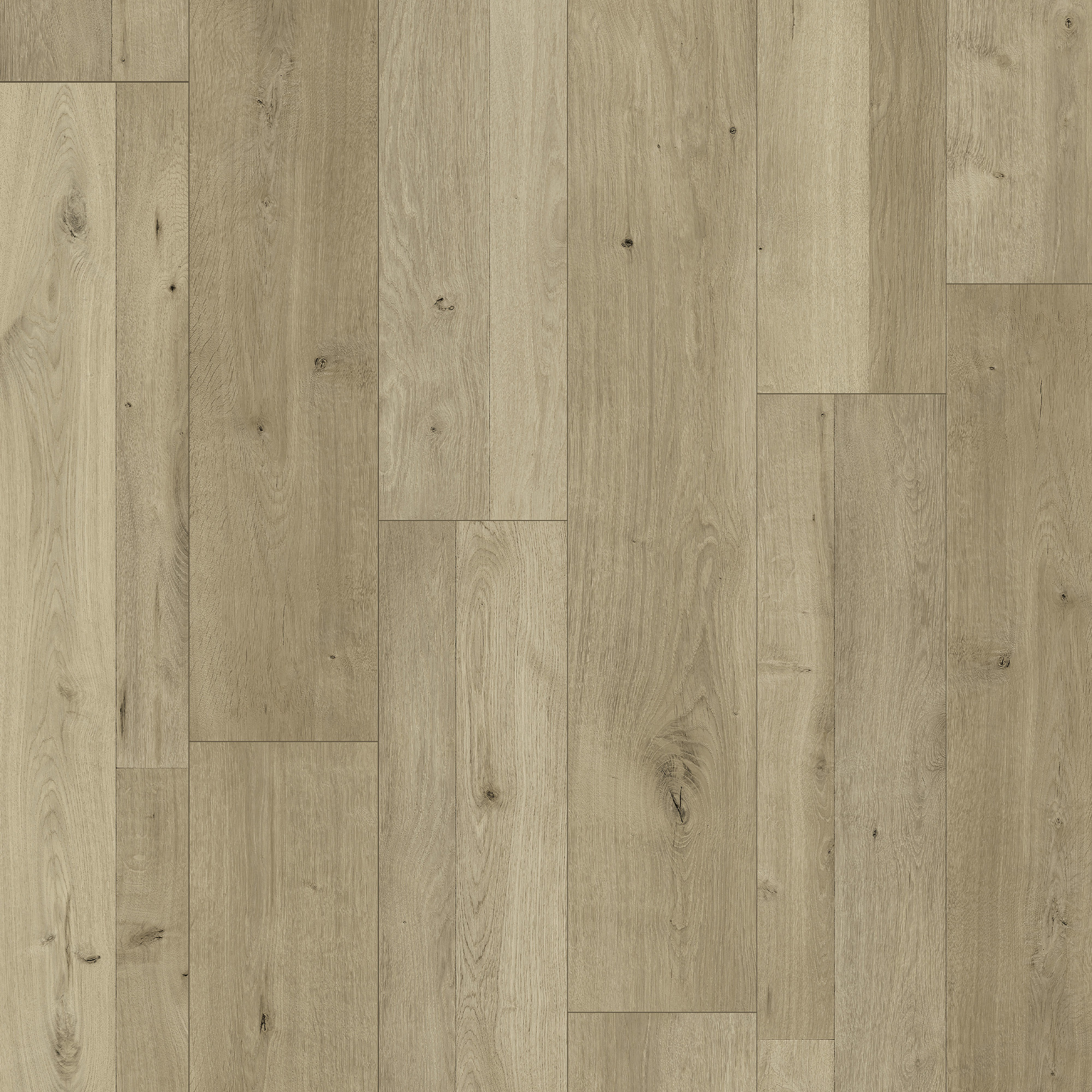Meister LC55 Multiclic Natural oak 06675