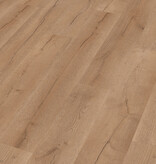 Meister LC55 Multiclic Nevado Oak 07147