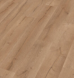 Meister LC55 Multiclic Nevado Oak 07147